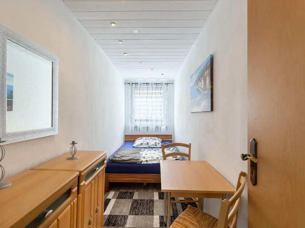 Apartment In Dresden With Pool In The Garden 0*,